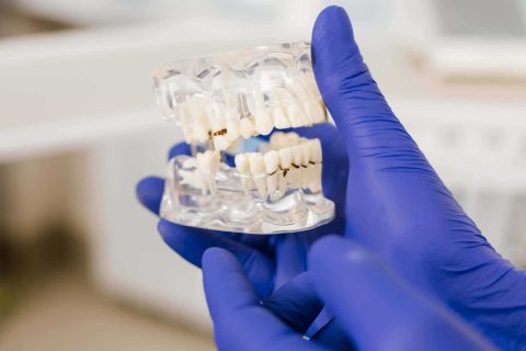 210706_MDL_Website_Leistungen-Bilder_Layout2-scaled